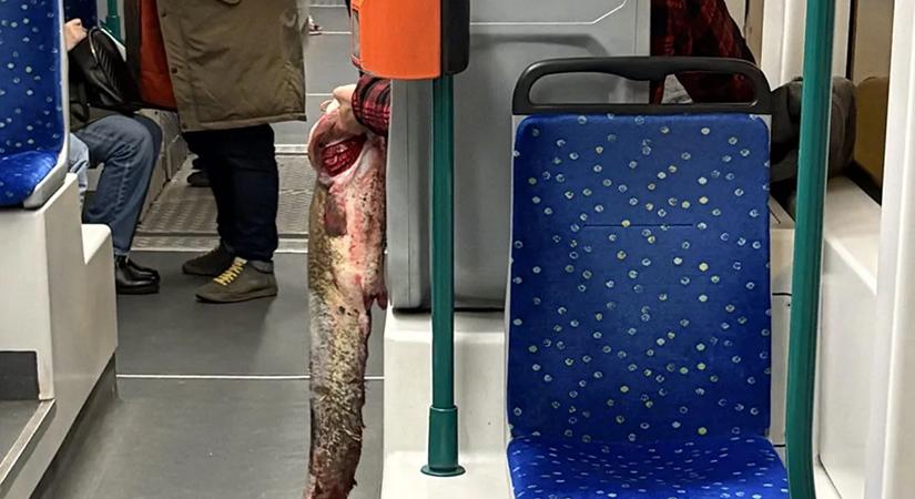 Leáll több villamos Budán: így változik a közlekedés a hétvégén