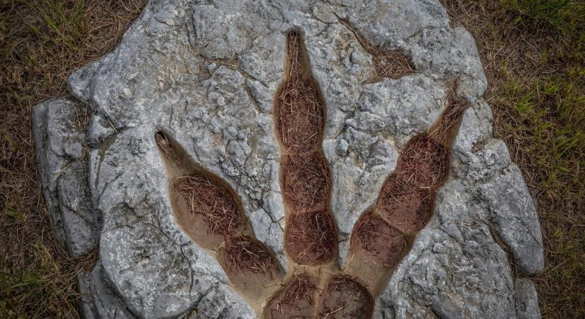 A Netflix rendkívüli látványvilággal hozza vissza a dinoszauruszokat