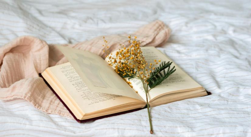 7 skandináv krimi, ami annyira izgalmas, hogy egy nap alatt kiolvasod