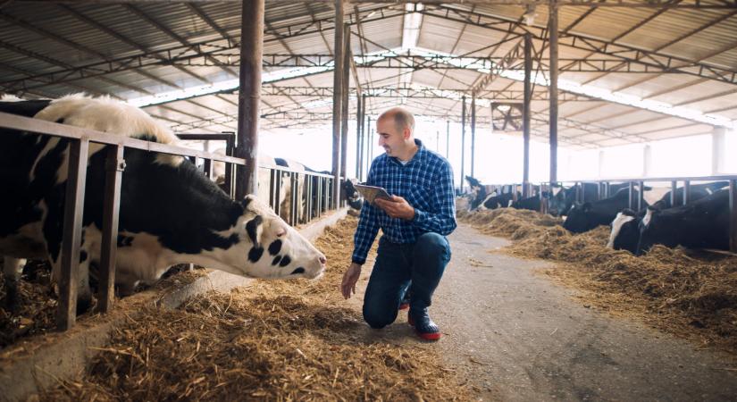 Rendkívüli bejelentés: évekre szóló mentőövet kapnak a magyar gazdák