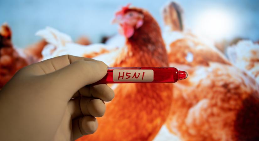 Újra betört a súlyos kór Magyarországra