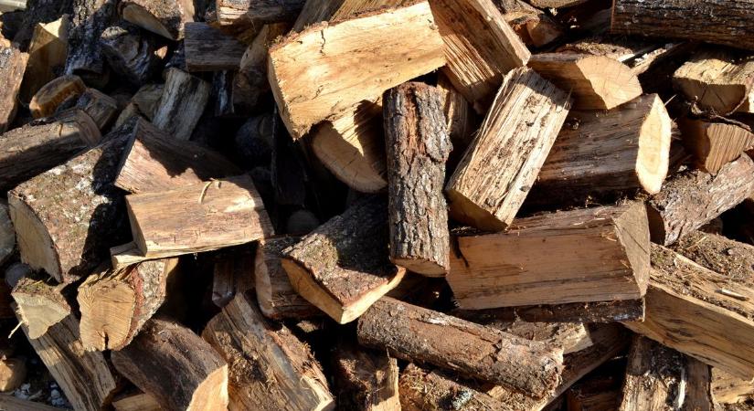Szociális tűzifa támogatás – még igényelhető ezen a településen!