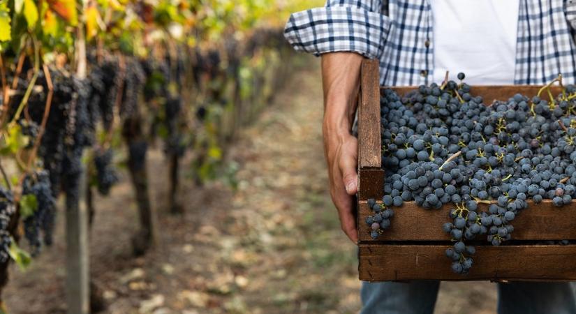 Egyszerűsített foglalkoztatás: tilalmak, buktatók, előnyök és hátrányok