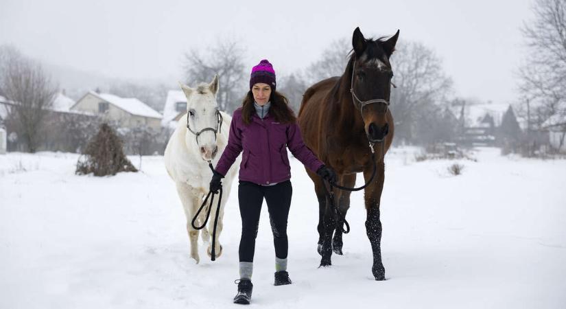 „Pusztán a közelségük is terápiás hatással bír” – Mit tanítanak nekünk a lovak?
