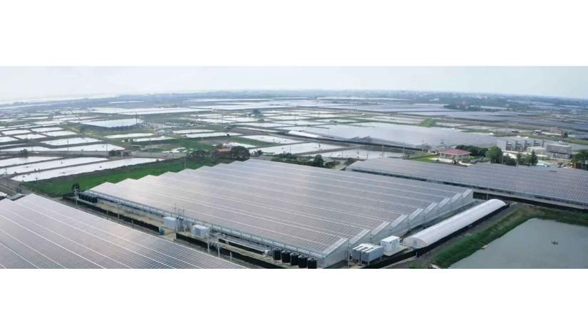 Okos ötletek az éghajlatsemlegességhez: A lemezszakértő napernyőt tart a halaknak