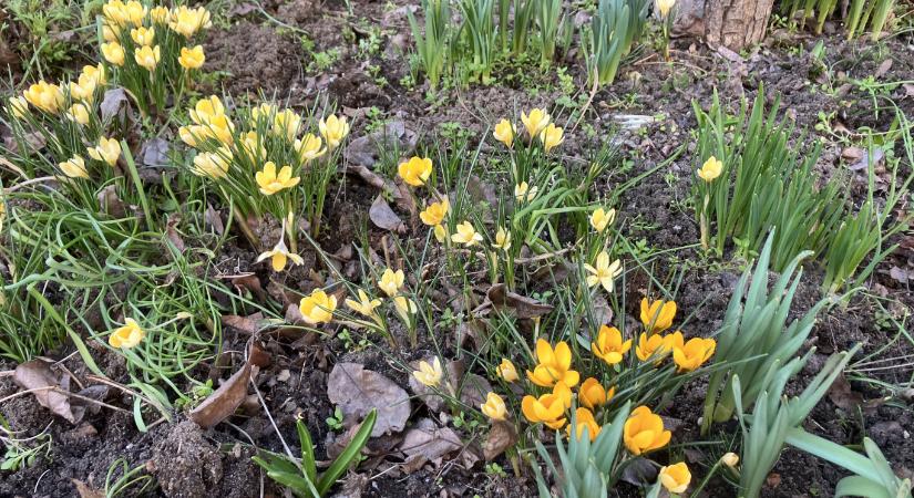 Mindenki menjen kirándulni a hétvégén, egyszerűen csodálatos lesz idő