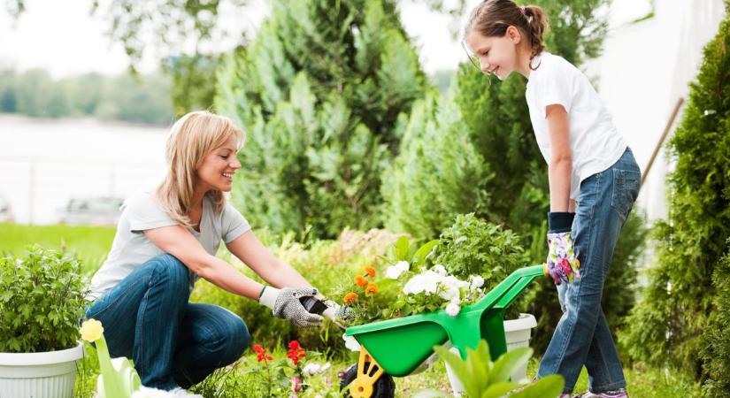 Ezek a legfontosabb márciusi teendők a kertben – íme a 9 pontos feladatlista
