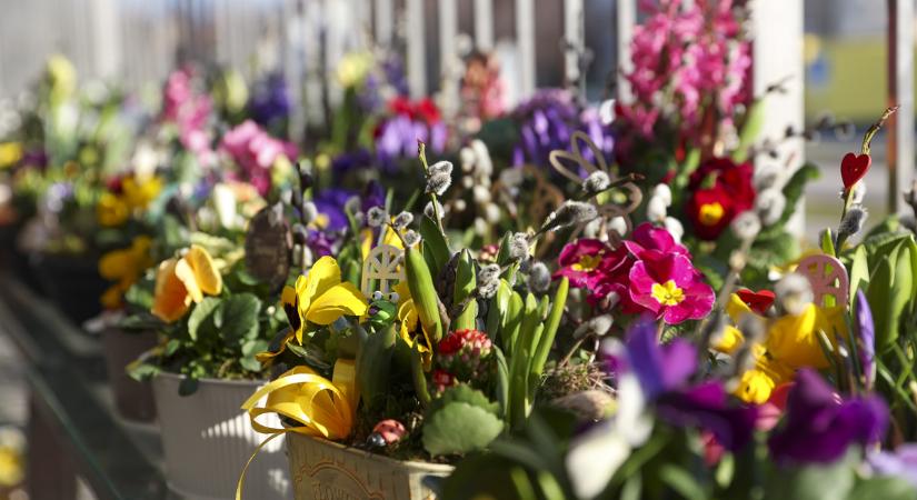Zene, találkozások és ünneplés – Nőnapi szalonest Győrben