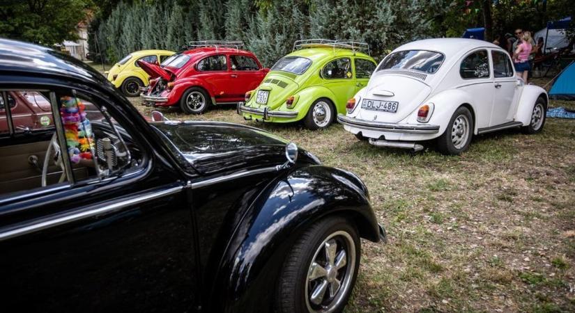 Megrendezik a város első Bogár találkozóját - mindenkit vár Oroszlány!