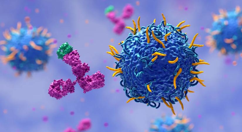 Megállíthatóvá válhat a rák: fontos kapcsolót találtak a szervezetben