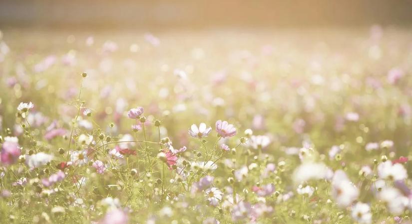 Rejtélyes támadás érte a népszerű turistacélpontot – videón a brutális pusztítás