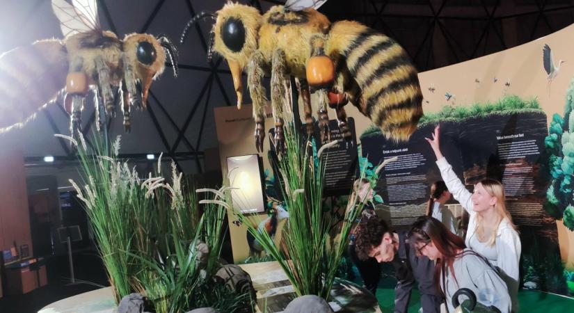 Filmes díszletek közt ismerkedtek a jövővel a Corvin diákjai