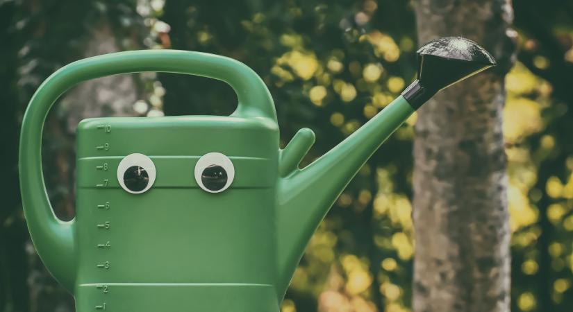 Csetteghetnek a metszőollók!