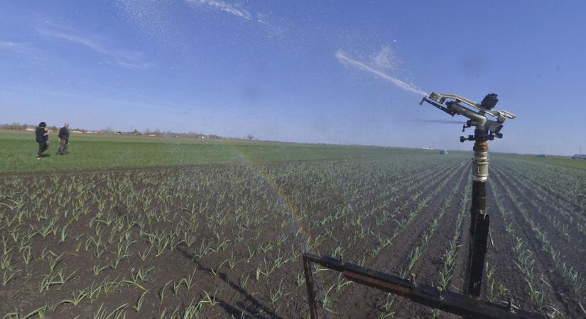 Komoly segítség a gazdáknak: megemelték a kárenyhítési alapot, az öntözésben is támogat a kormány