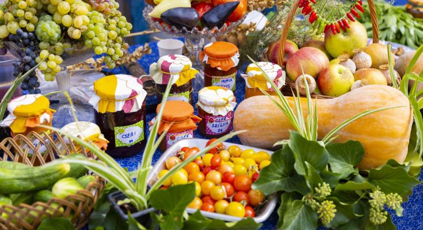 Az agráriumban is új, fix 3%-os hitelekkel segíti a kormány a mikro- és kisgazdálkodókat