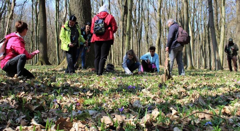 Nem maradnak program nélkül a nők ezen a hétvégén