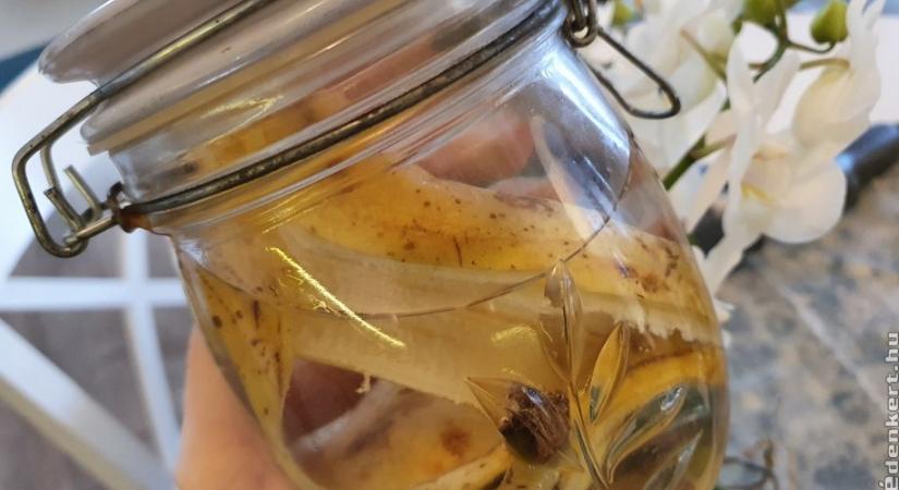 Filléres trükk banánhéjjal: gyönyörű lesz tőle az orchideád!