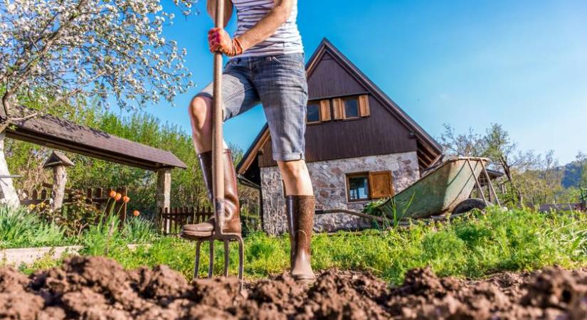 Ártatlan kisállatokat szúrhatsz fel kerti munka közben: 5 tipp a természetvédelmi egyesülettől