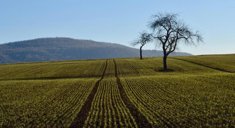 Időjárás: Berobbannak a 20 fokhoz közeli csúcsok VIDEÓ