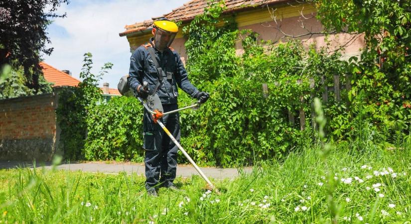 Repkednek a félmilliós bírságok: te elvégezted a kötelezőket?