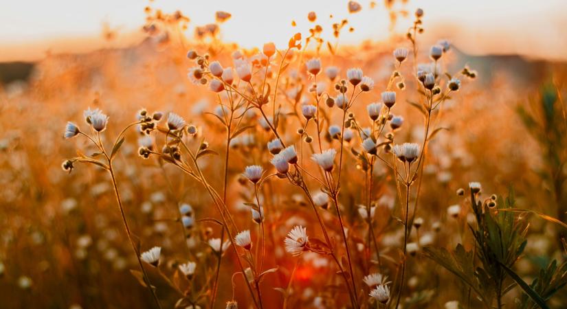 Napi horoszkóp – március 7., szombat