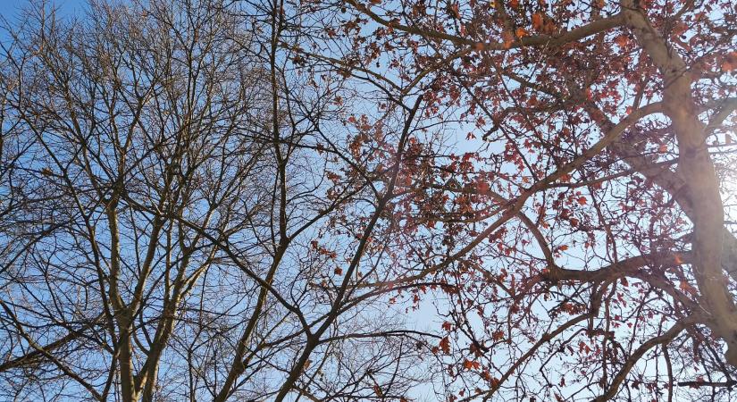 Napos, tavaszias idő várható a hétvégén