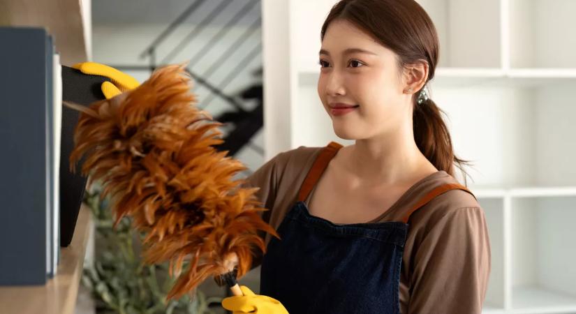 Ezért nem kell folyton port törölgetniük a japán háziasszonyoknak