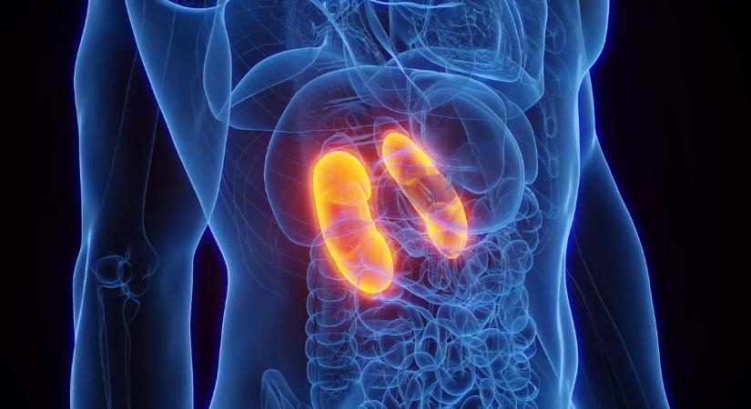 Ne egyen ezekből az ételekből, veszélyesebbek lehetnek, mint gondolná