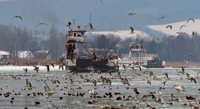 Időjárás: Enyhe és kissé szárazabb volt a 2025-2026-os tél Magyarországon