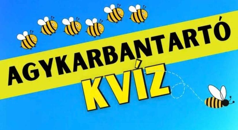 Lássuk, mennyire éles a megfigyelőképességed! Ez a méhes agykarbantartó trükkös pszichológiai játék az elméddel.