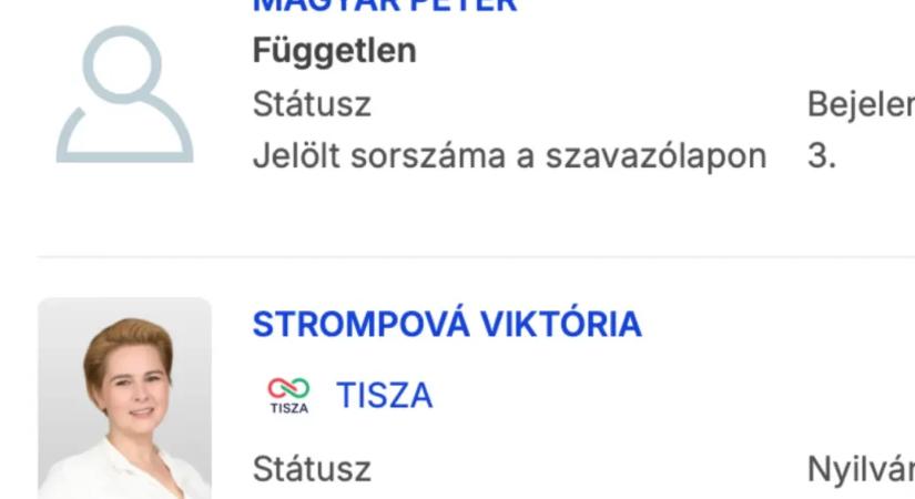 A másik Magyar Péter és Tisza Péter is indulhat a választáson