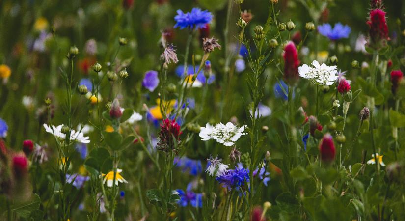 “Az igazi fejlődésben benne van az, hogy véges vagyok, hogy tökéletlen vagyok.”
