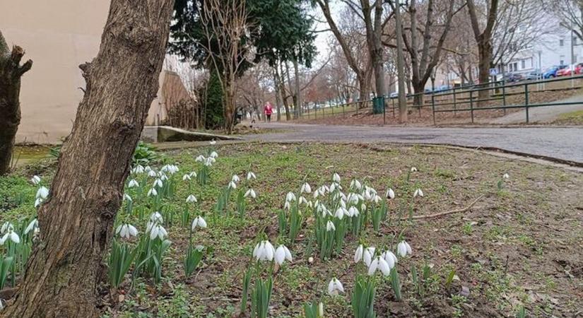 Minden akadály elhárult! Csodás idő vár ránk szombaton!