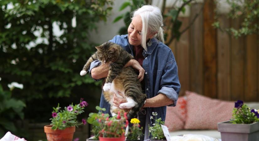 7 szívós évelő növény, amit még most, márciusban ültess el a kertben