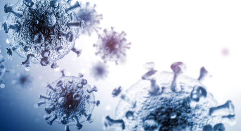 Hatalmas csapás a magyar gazdáknak: újra terjed a rettegett betegség, azonnali lépésekre volt szükség