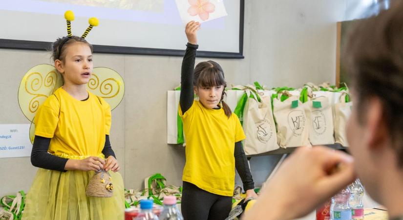 Új országos verseny döntőjét tartották a Sóstónál (galéria)