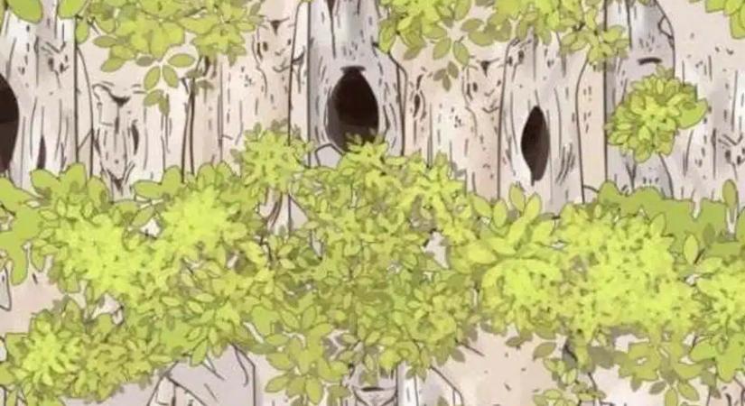 Csak a szuperintelligensek látják: Ha 5 másodperc alatt megvan a bagoly, az IQ-d a felső 1%-ba tartozik