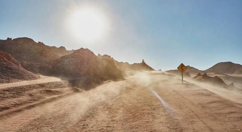 Mitől nyüzsög a világ legszárazabb sivatagja? - Meglepő felfedezés a felszín alatt