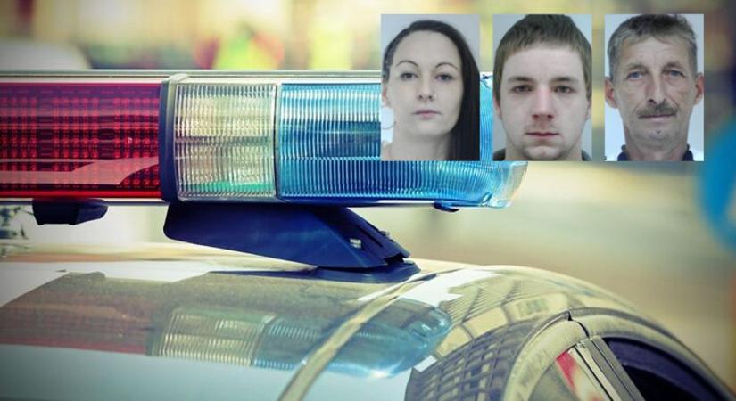 Ezeket a tatai bűnözőket keresi a rendőrség, mindegyikük ellen elfogatóparancs van érvényben