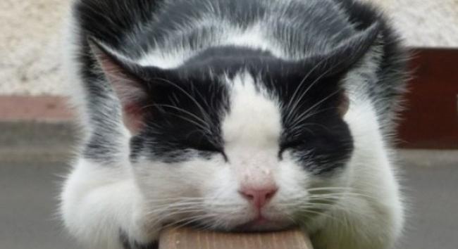 Végleg búcsút inthetünk a télnek! - Friss időjárás-előrejelzés március 7-re