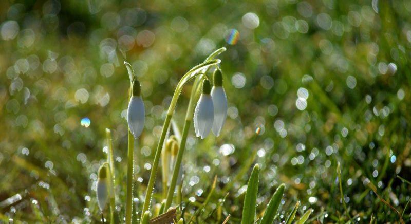 15 fokos hőingás jön a hétvégén: izzadás után mínuszok