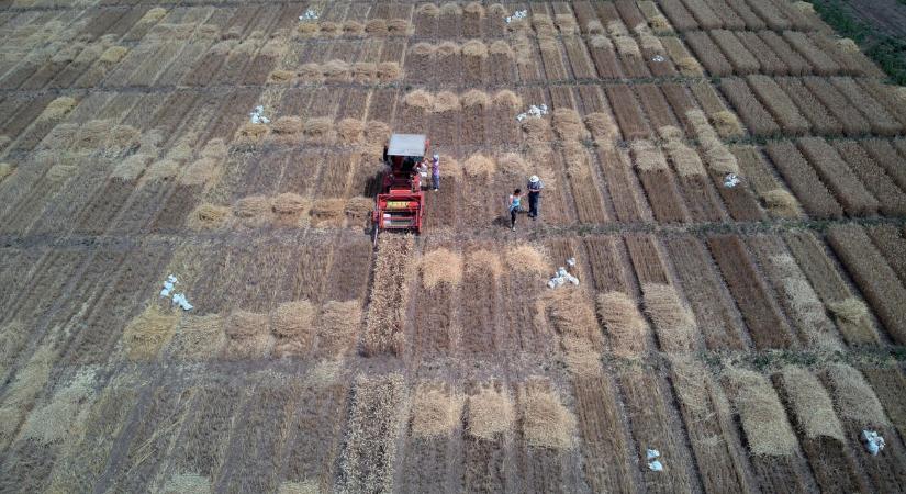 Öt hónap után februárban ismét emelkedett a FAO élelmiszerár-indexe