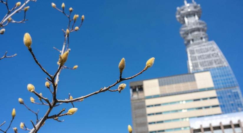 Már alulról közelítjük a 20 fokot