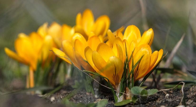 Meglepően alakul a hétvégi időjárás – Mutatjuk, mire számíthatunk ma és nőnapon