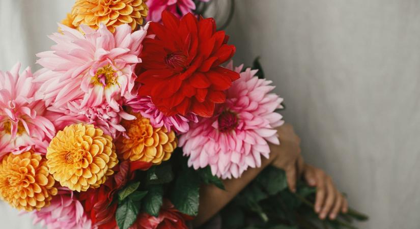 Ma, március 7.: Tamás és Perpétua névnapja van – ilyen különleges jelentéssel bír a nevük