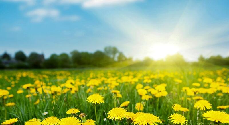 Szabadba csábító, kellemes idő vár ránk a hétvégén