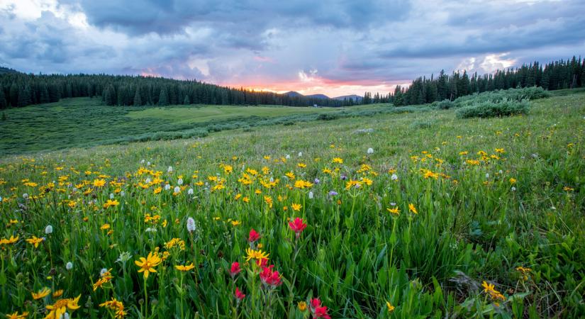 Időjárás: változékony, tavaszias időre számíthatunk a hétvégén