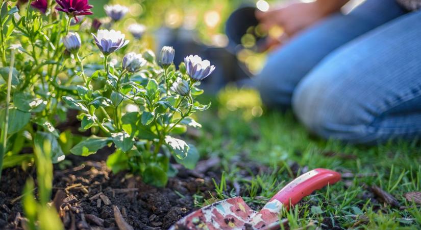 Csípős hajnal után ragyogó napsütés vár ránk szombaton