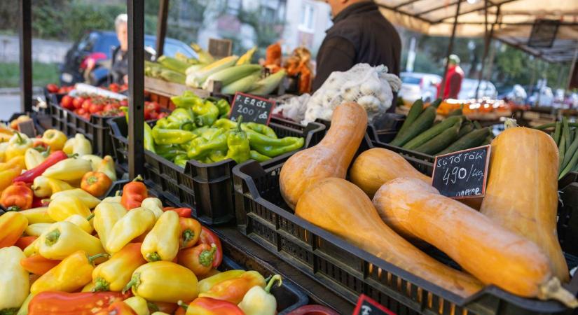 Tatabányai piacon kapkodják a vérképzés sztárját, de a dughagyma viszi a prímet  GALÉRIA
