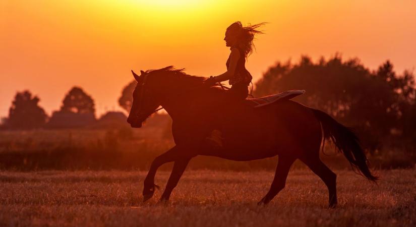 Ha meg tudtad álmodni, meg is tudod tenni...